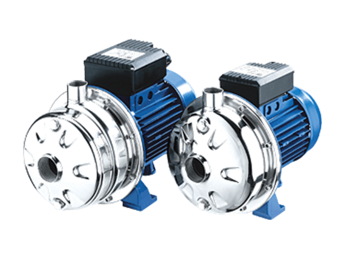 Ebara 2CDX Series pump