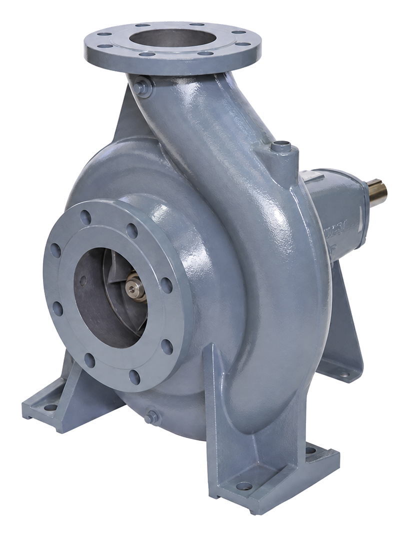 Ebara GS Series pump