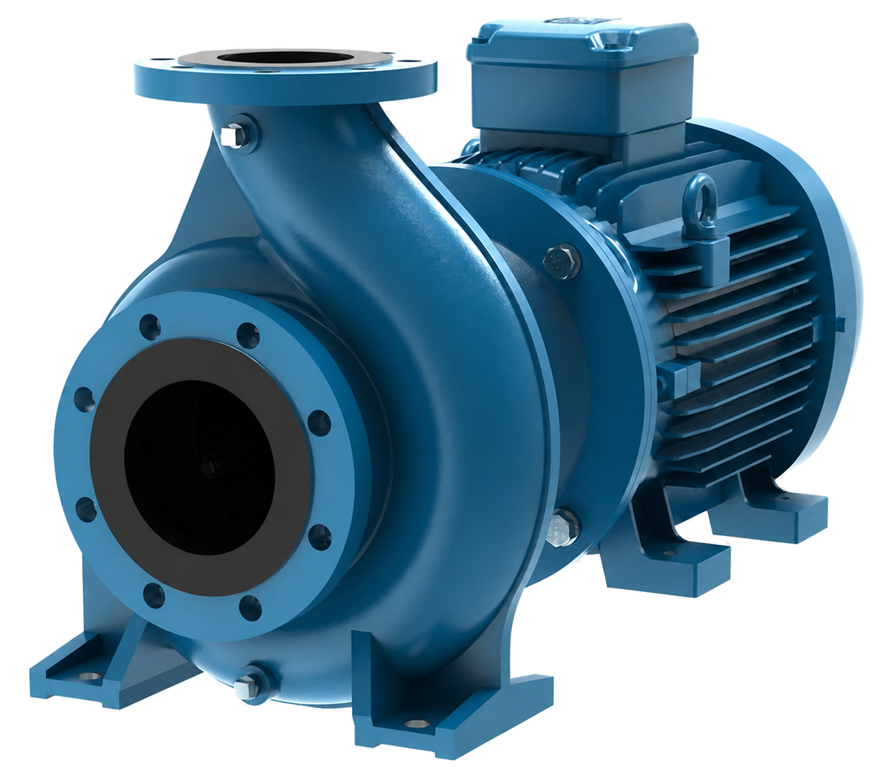 Ebara GSD Series pump